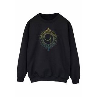 Harry Potter Wingardium Leviosa Sweatshirt  