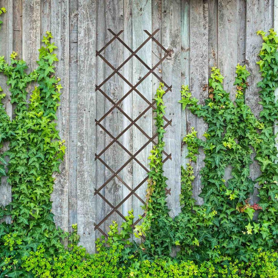 Northix Ensemble de treillis extensible pour plantes  