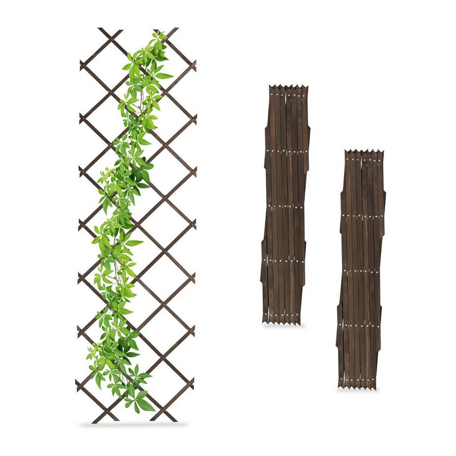 Ensemble de treillis extensible pour plantes