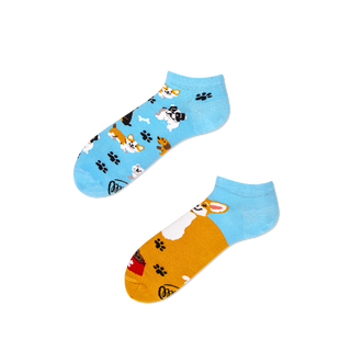 Many Mornings  Playful Dog Sneakersocks - Many Mornings 