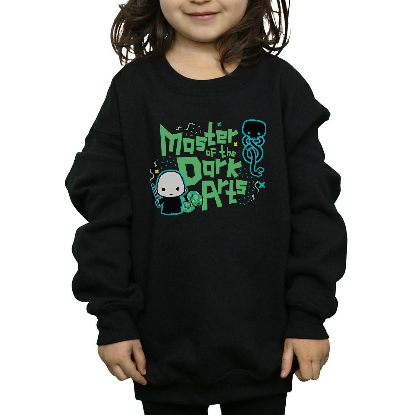 Harry Potter  Voldemort Dark Arts Junior Sweatshirt 