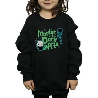 Harry Potter  Voldemort Dark Arts Junior Sweatshirt 