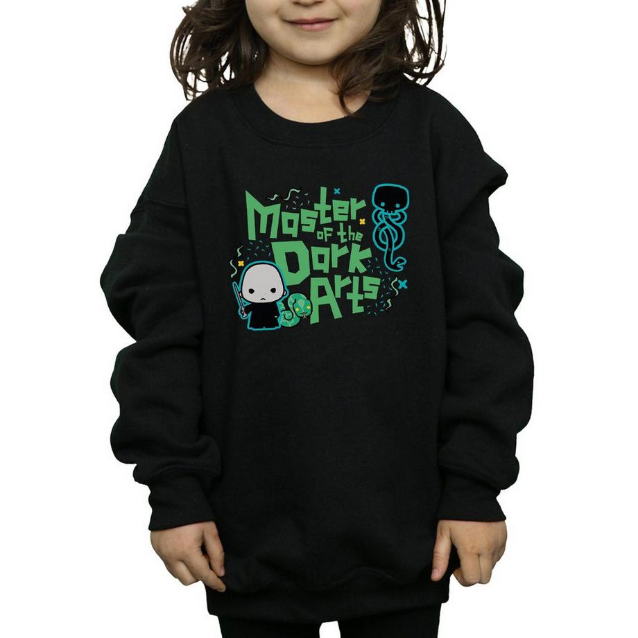 Harry Potter  Voldemort Dark Arts Junior Sweatshirt 