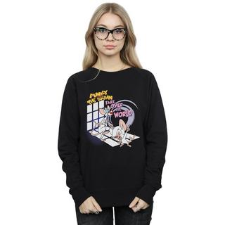 Animaniacs  Take Over The World Sweatshirt 