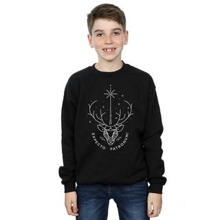 Harry Potter  Expecto Patronum Sweatshirt 