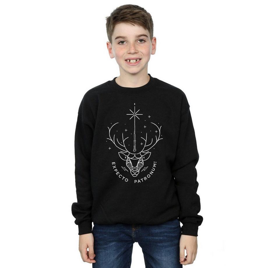 Harry Potter  Expecto Patronum Sweatshirt 