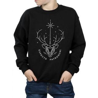 HARRY-POTTER  Expecto Patronum Sweatshirt 