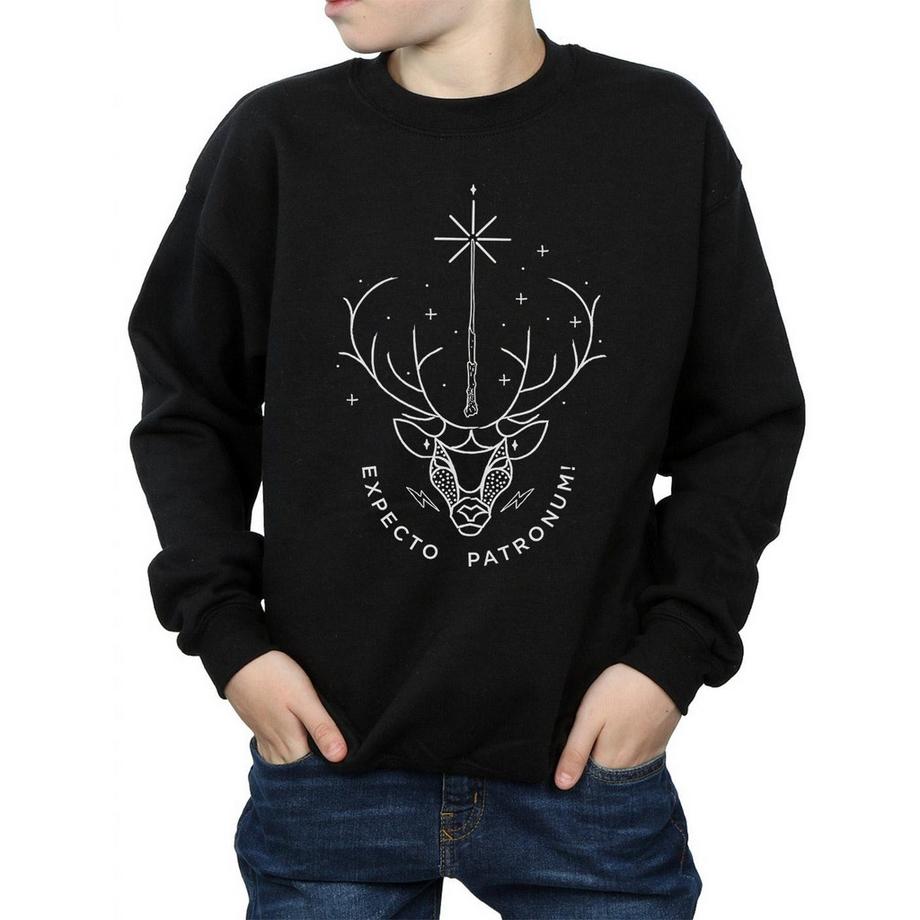 Harry Potter  Expecto Patronum Sweatshirt 