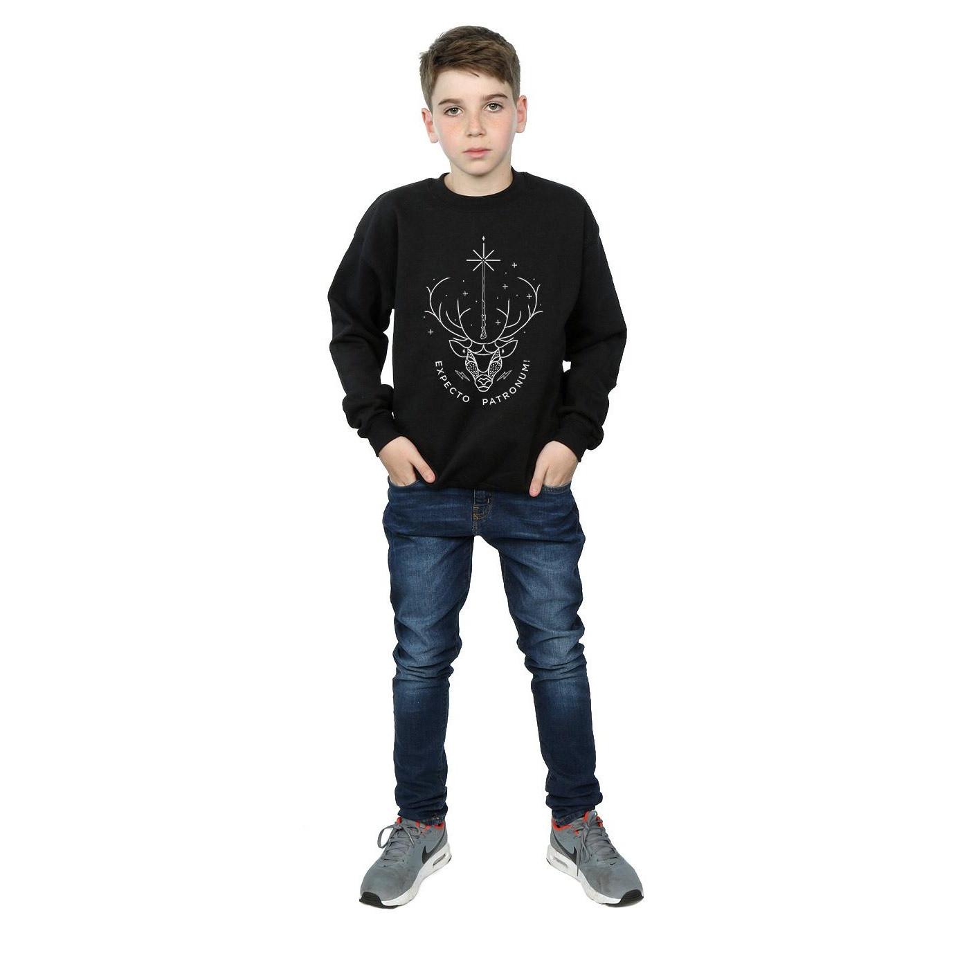 HARRY-POTTER  Expecto Patronum Sweatshirt 