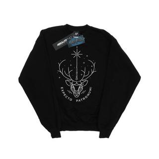 Harry Potter  Expecto Patronum Sweatshirt 