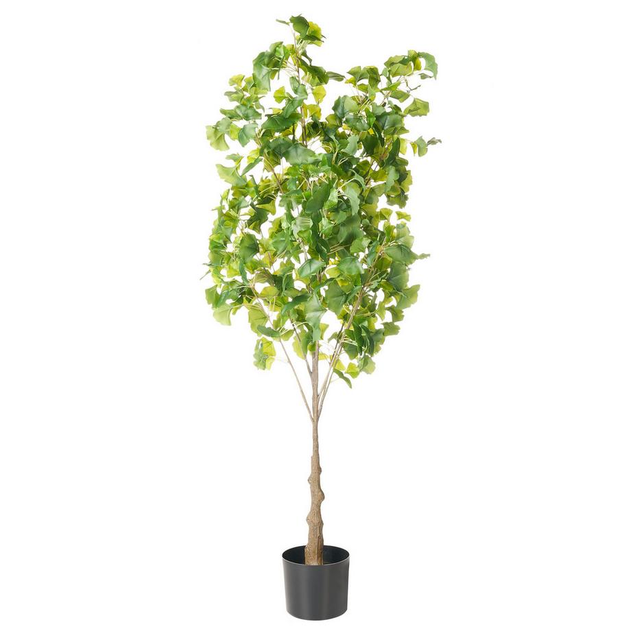Beliani Plante artificielle en Matière synthétique Glamour GINKGO TREE  