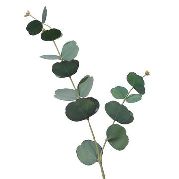 DEKORATIVE BLUME BLATT DUNKELGRÜN H73CM