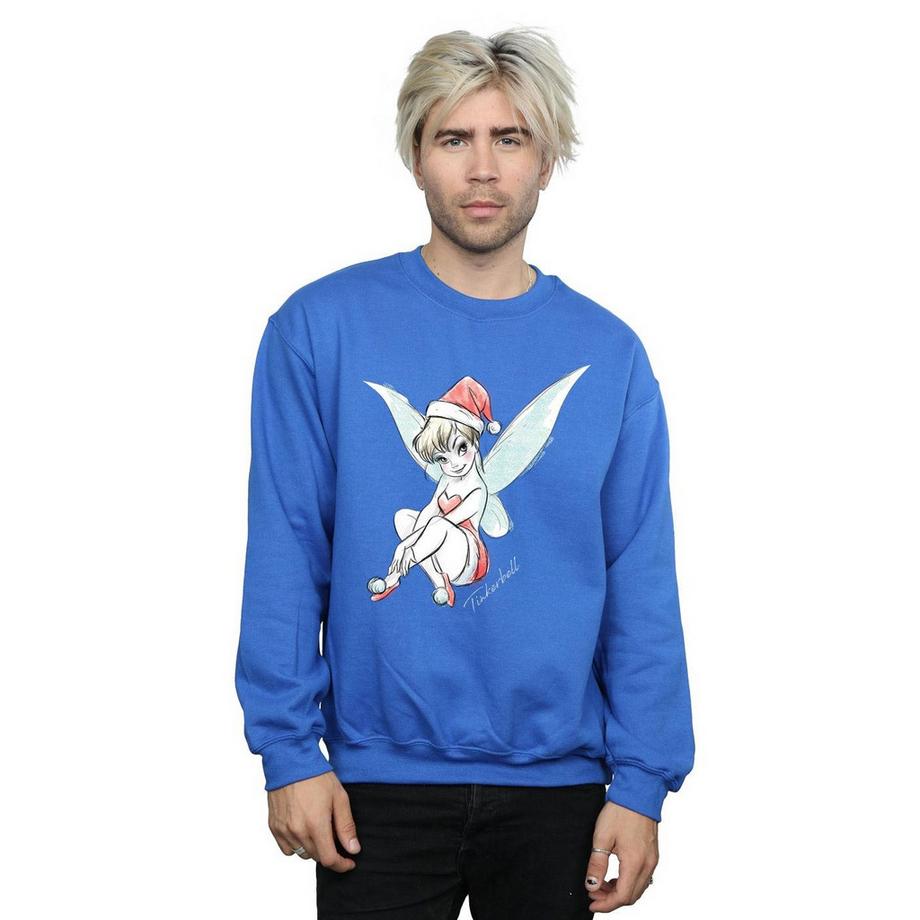 Disney Sweatshirt Fairy  