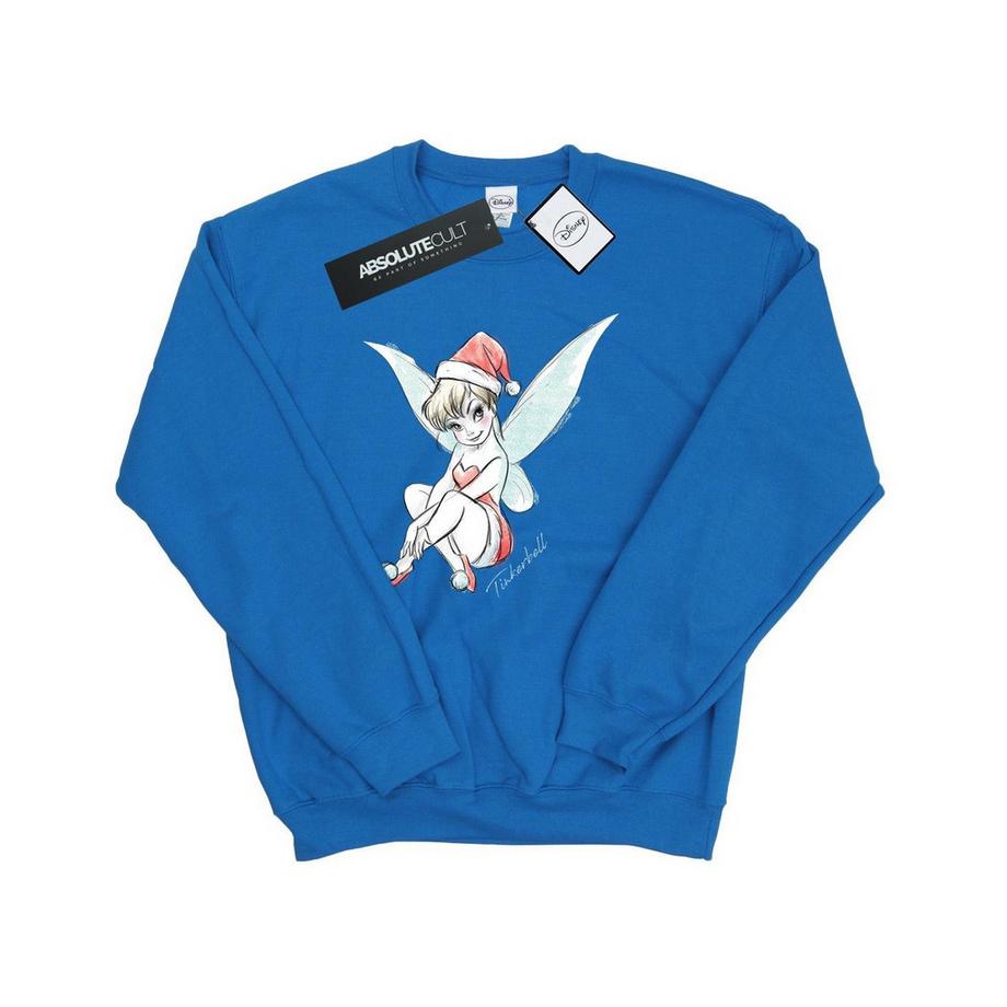 Disney Sweatshirt Fairy  