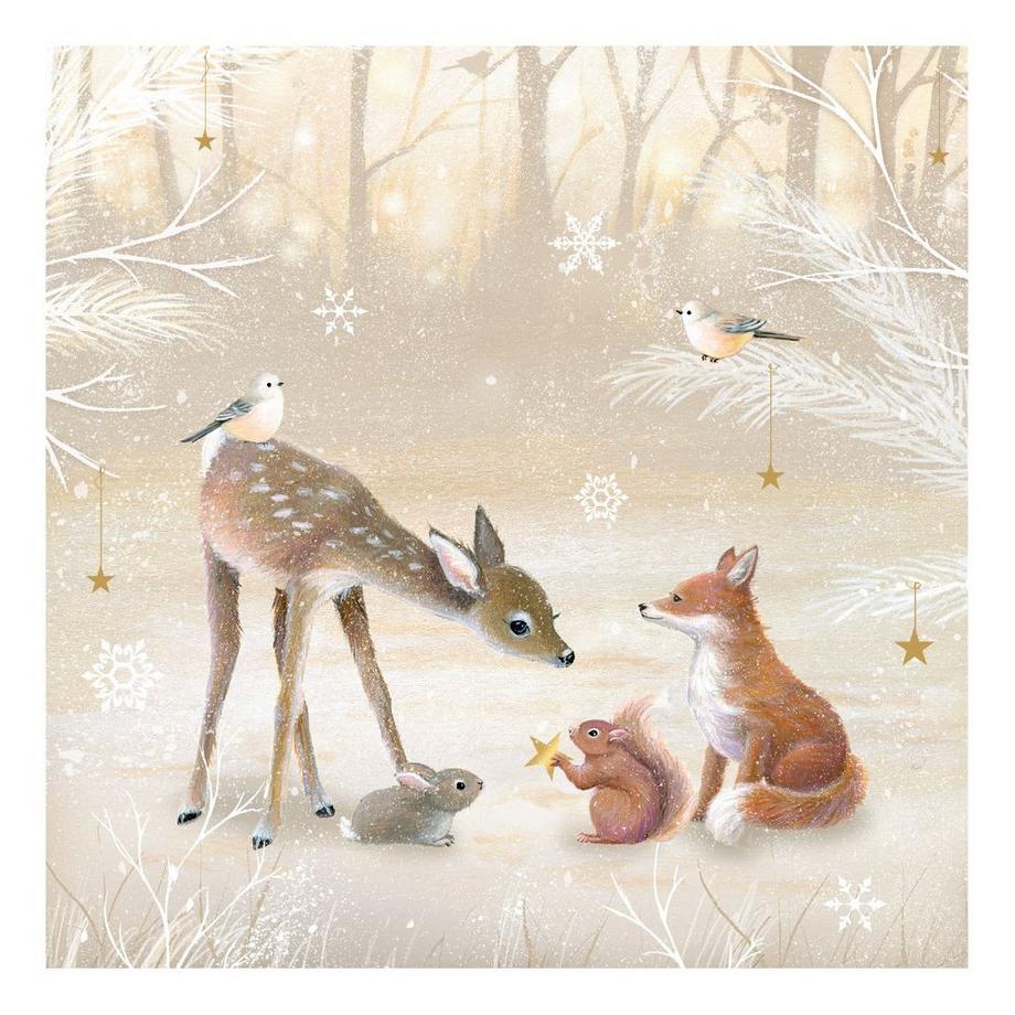Coppenrath COPPENRATH Adventskalender 15x15cm 72279 Winterzauber  