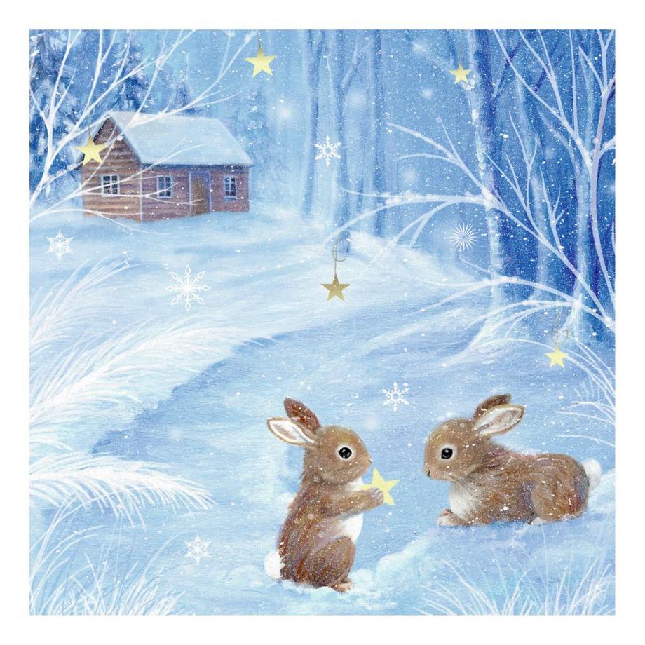 Coppenrath COPPENRATH Adventskalender 15x15cm 72279 Winterzauber  
