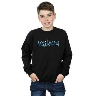 DC COMICS  Sweatshirt 