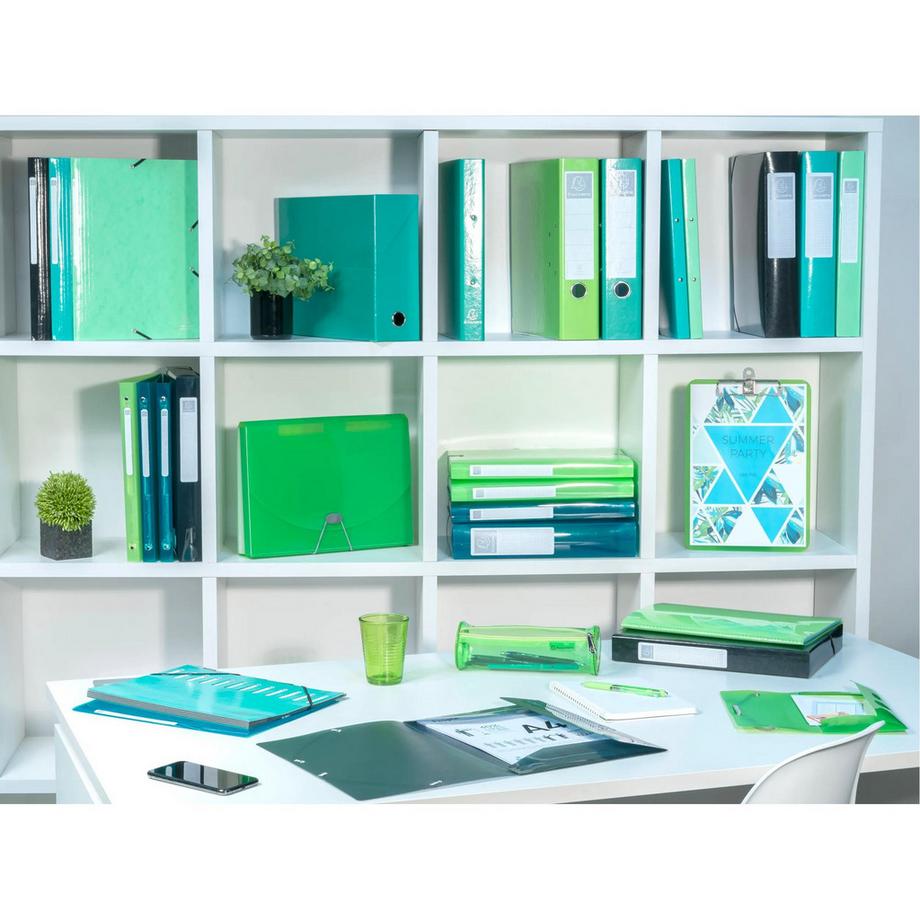 Exacompta Mittelfestes Ringbuch 4 Ringe, aus Polypropylen 700µ, Iderama PP- A4 Maxi - x 15  