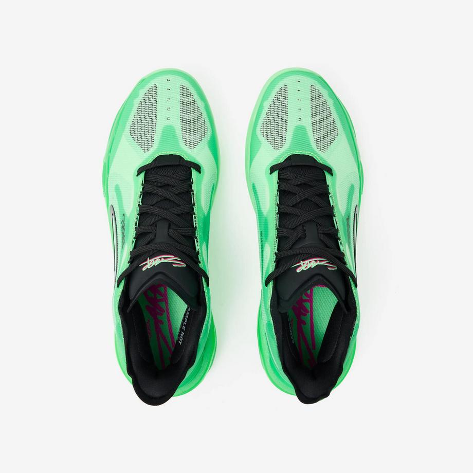 KIPSTA Chaussures de sport basketball montantes synthétique Chaussures de basket mi-hautes édition Sarr homme femme, Canaveral 900 vert 