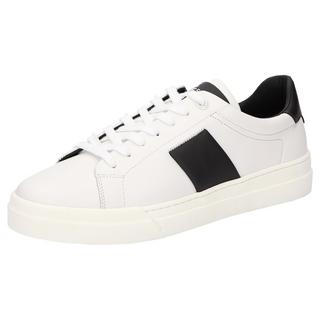 Sioux  Sneaker Berniro-700 