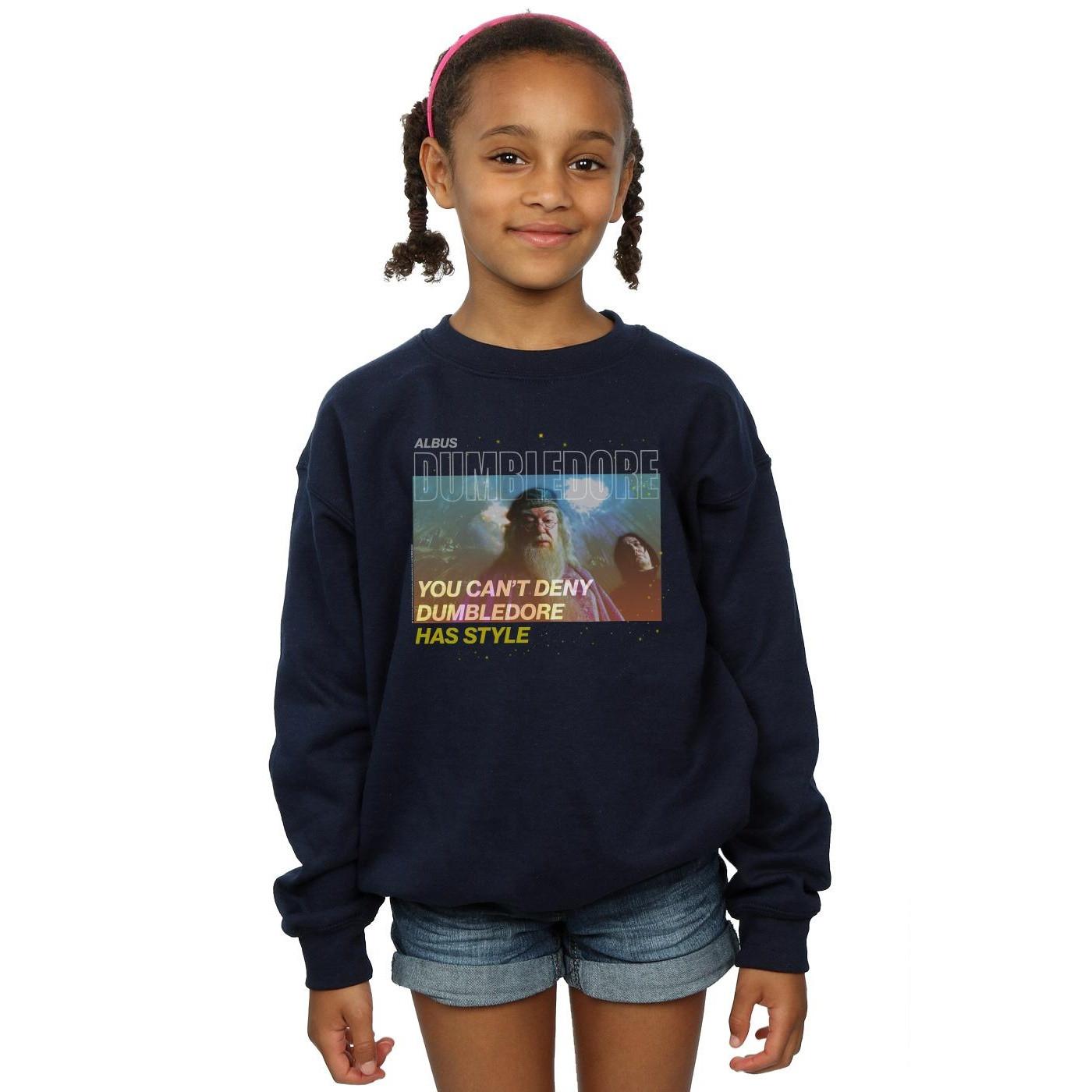 Harry Potter  Style Sweatshirt 