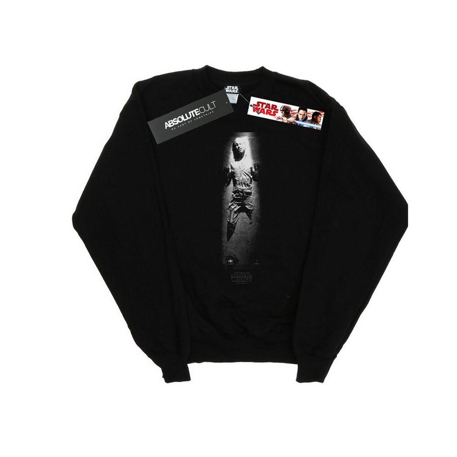 Carbonite Sweatshirt