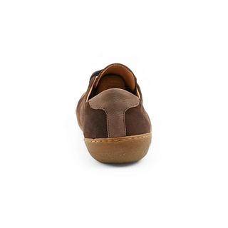 El Naturalista  PAWIKAN-40 