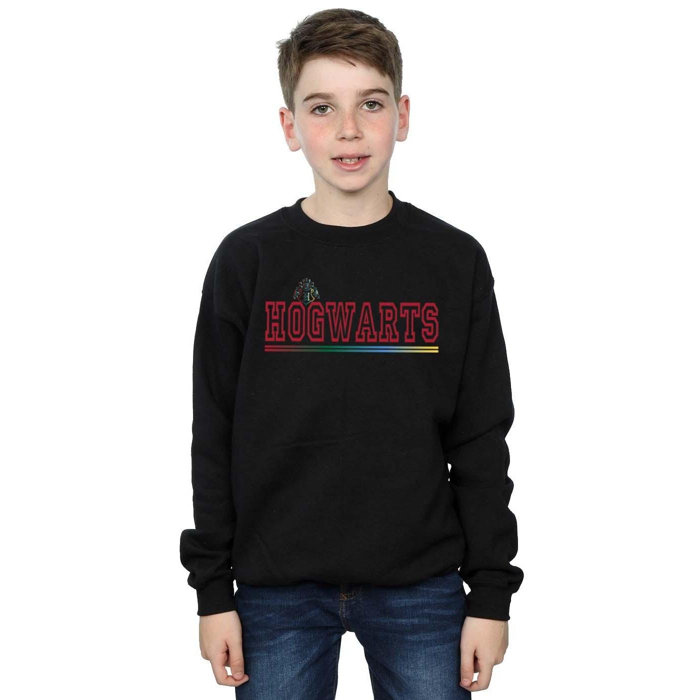 Harry Potter  Hogwarts Sweatshirt 