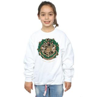 Harry Potter  Sweatshirt 