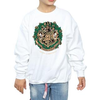 Harry Potter  Sweatshirt 