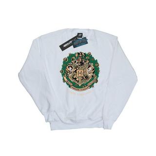 Harry Potter  Sweatshirt 