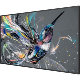 PHILIPS  Public Display 55BDL3511Q/00 55" 