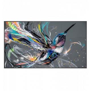 PHILIPS  Public Display 55BDL3511Q/00 55" 