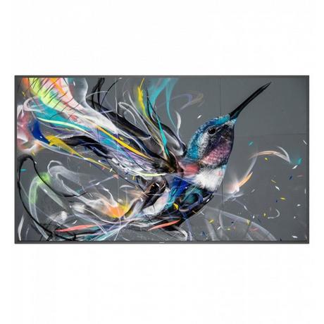 PHILIPS  Public Display 55BDL3511Q/00 55" 