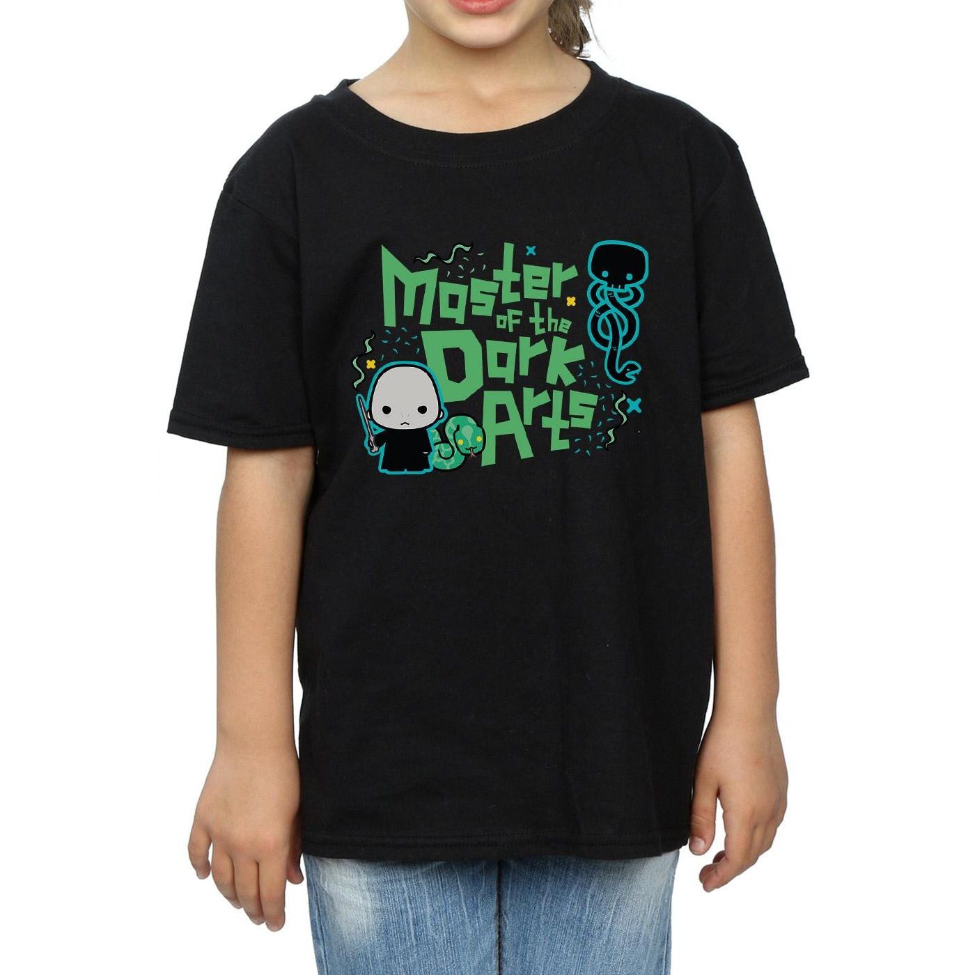 Harry Potter  Voldemort Dark Arts Junior TShirt 