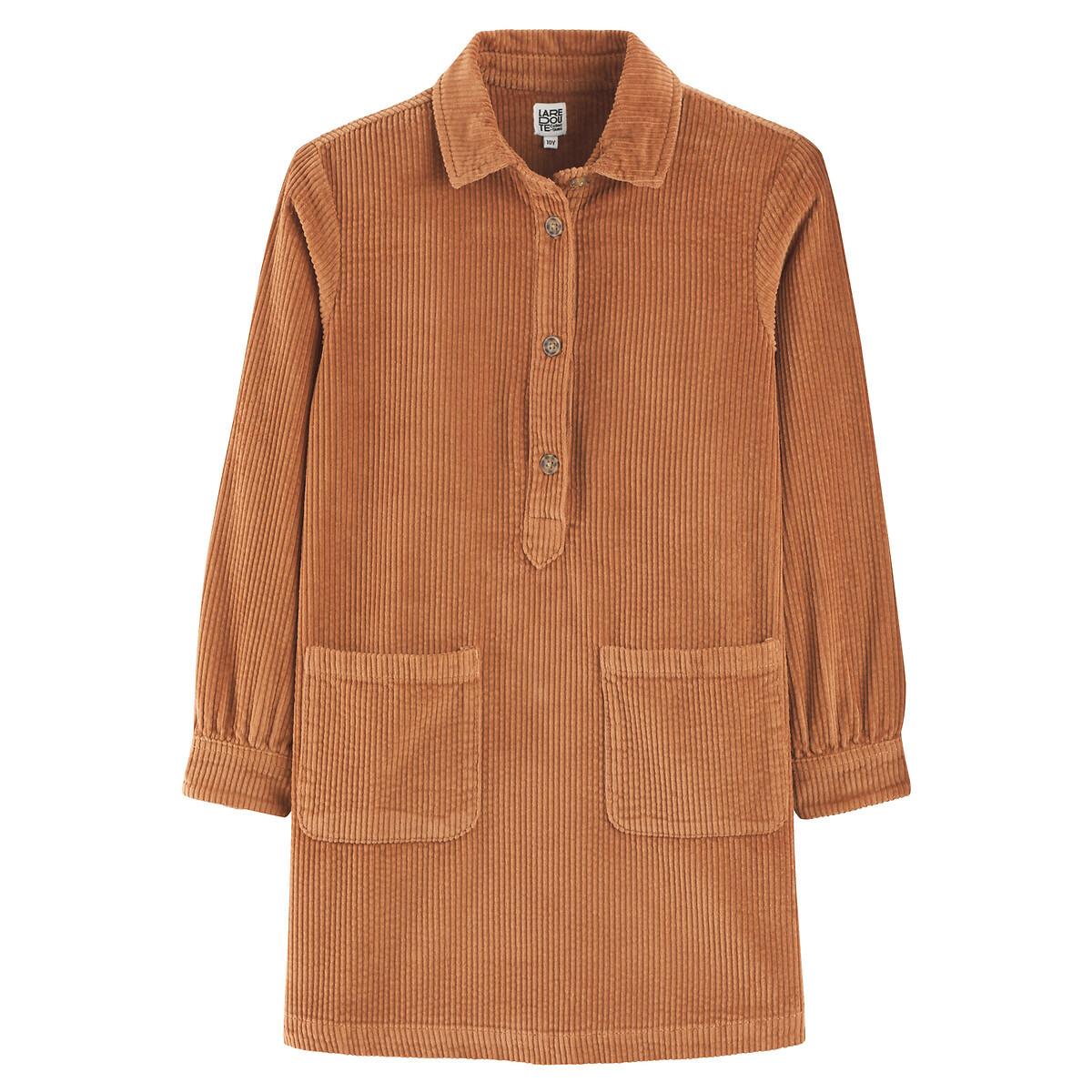 La Redoute Collections  Robe droite à manches longues en velours 