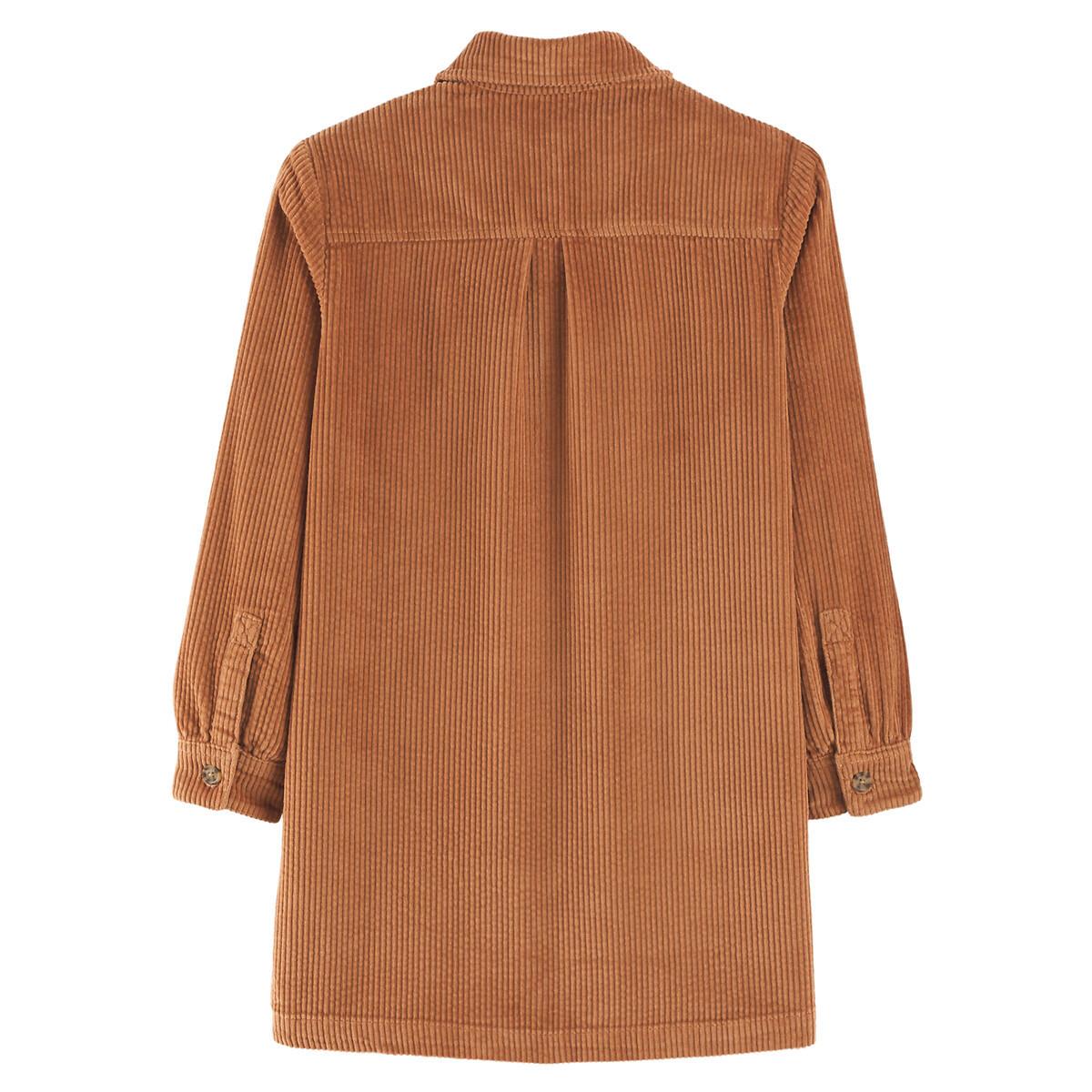 La Redoute Collections  Robe droite à manches longues en velours 