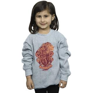 Harry Potter  Gryffindor Sweatshirt 