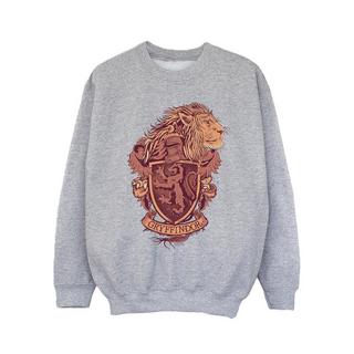 Harry Potter  Gryffindor Sweatshirt 