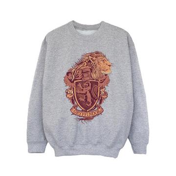 Gryffindor Sweatshirt