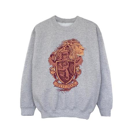 Harry Potter  Gryffindor Sweatshirt 