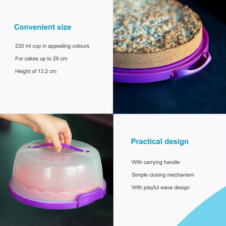 Intirilife Boîte De Transport Pour Gâteaux Et Tartes  