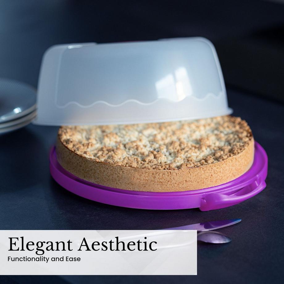 Intirilife Boîte De Transport Pour Gâteaux Et Tartes  