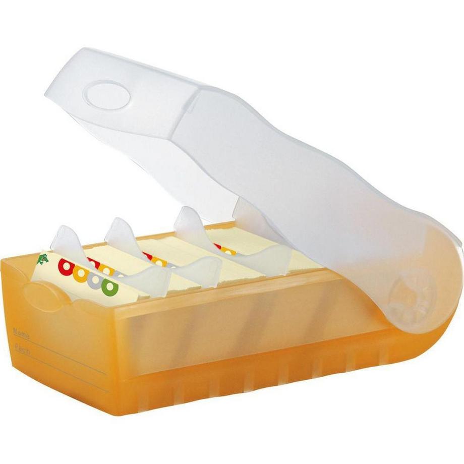 Karteibox Croco