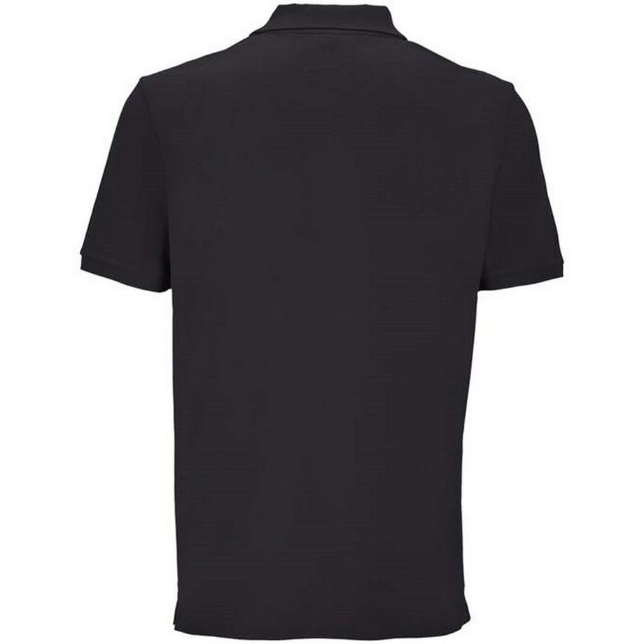 SOLS  Polo Pegase 