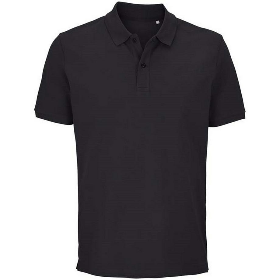 Polo Pegase