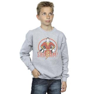 DC COMICS  Sweatshirt 