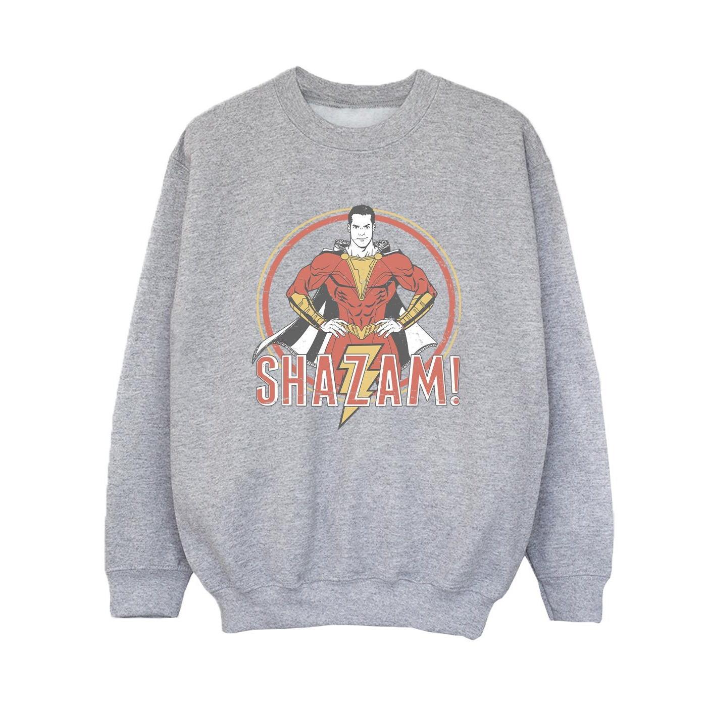 DC COMICS  Sweatshirt 