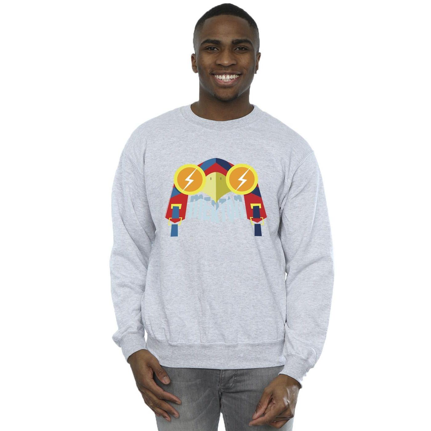 DC COMICS  DC League Of SuperPets Sweatshirt 