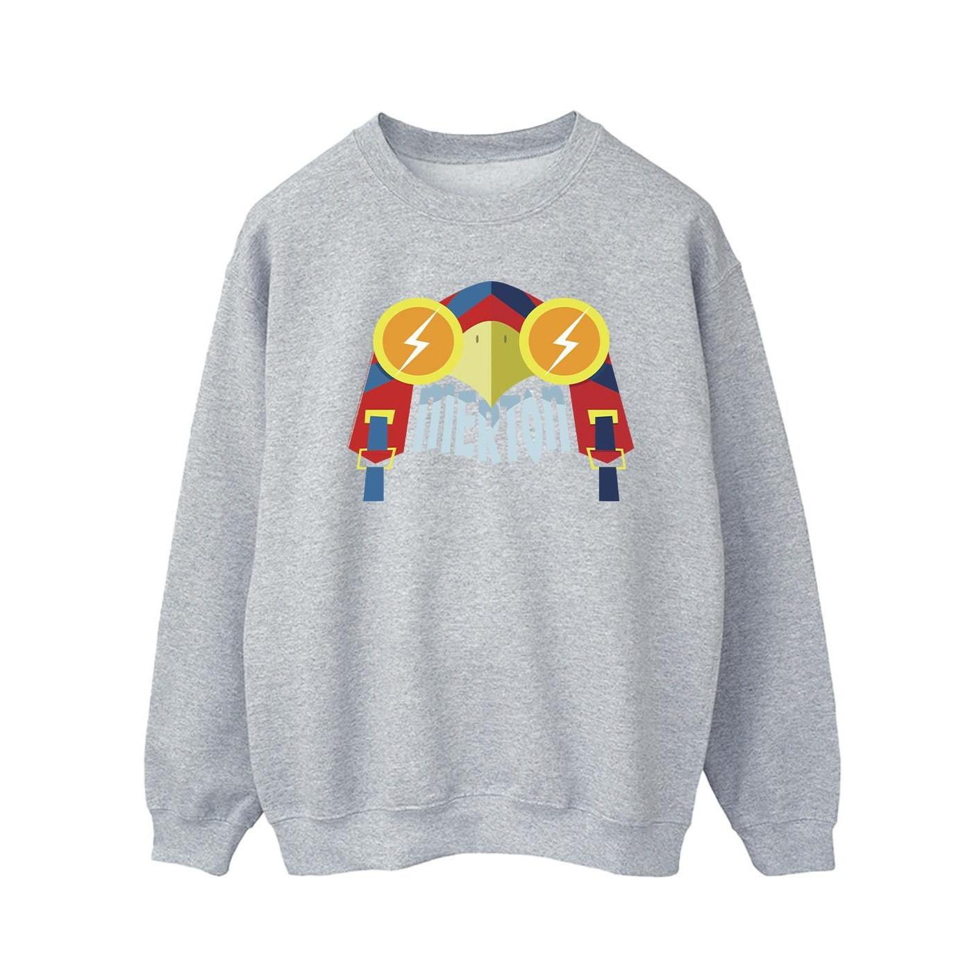 DC COMICS  DC League Of SuperPets Sweatshirt 